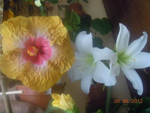 DSCN4047.JPG