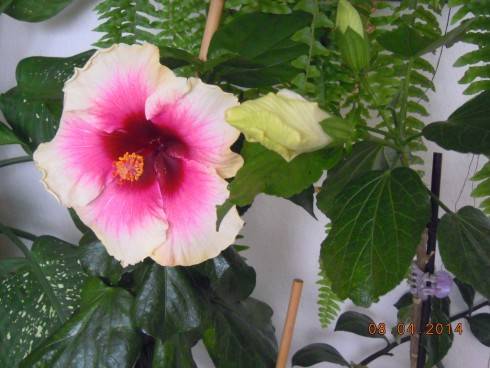 DSCN8682.JPG