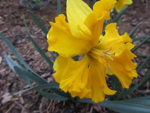IMG_0519.JPG