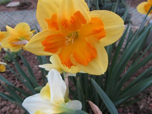 IMG_0527.JPG