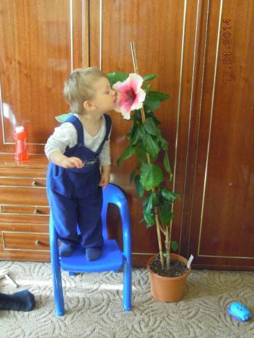 DSCN8902.JPG