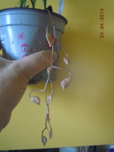 DSCN9342.JPG
