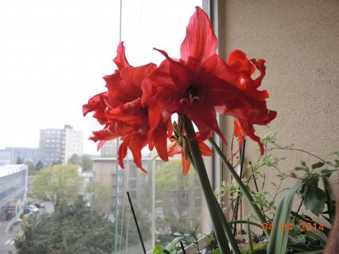 4apr 2014 003.JPG