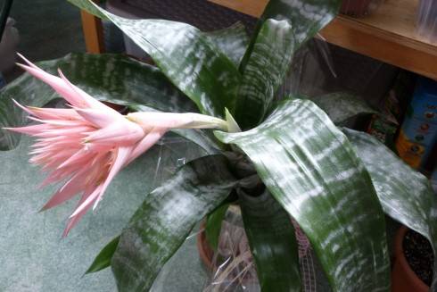 P1020129.JPG