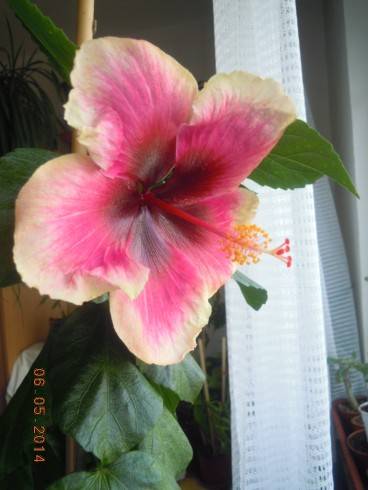 DSCN9581.JPG