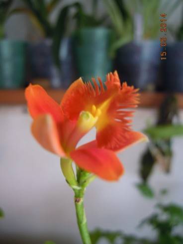 DSCN9798.JPG