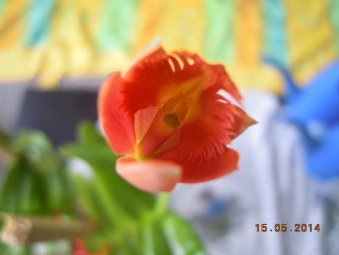 DSCN9749.JPG