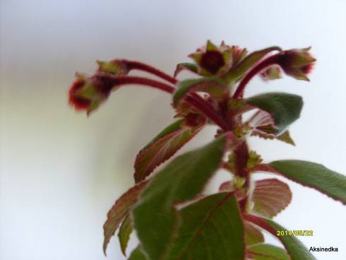 S6305783.JPG