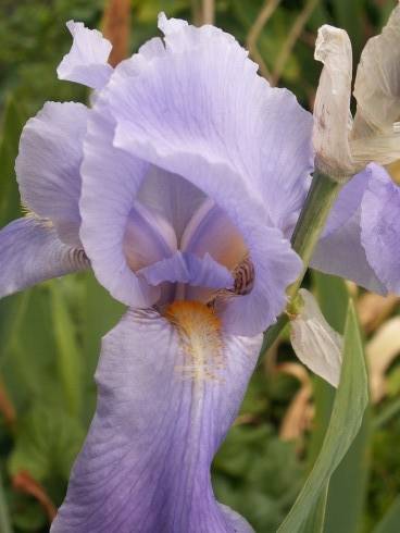13.6.2014 007.JPG