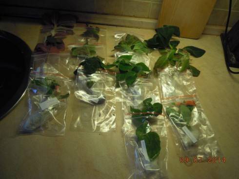 DSCN1111.JPG