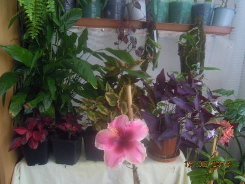DSCN1560.JPG