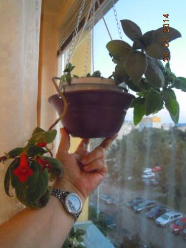 DSCN1690.JPG