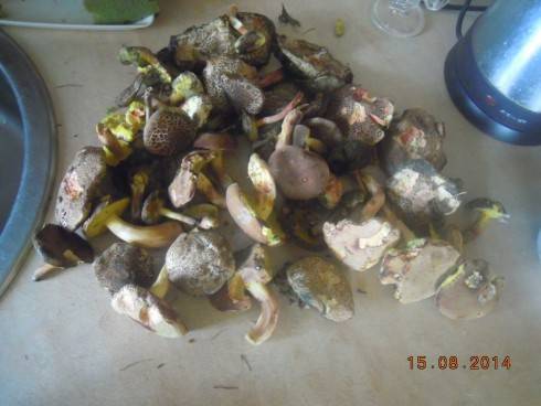 DSCN2040.JPG