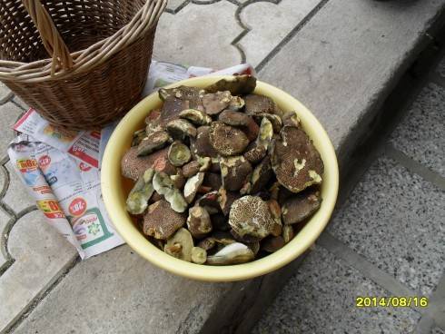 SDC10900.JPG