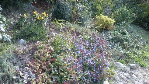 9okt2013 003.jpg