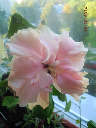DSCN3141.JPG