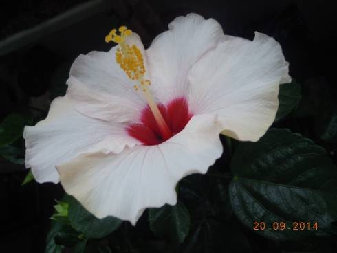 DSCN3186.JPG