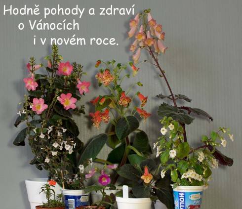 prani.jpg