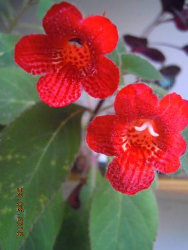 DSCN5633.JPG