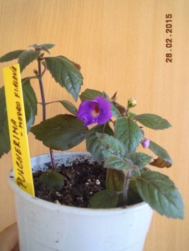 DSCN6172.JPG