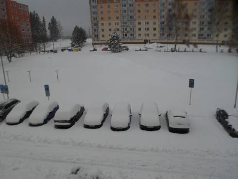 jaro 003.JPG