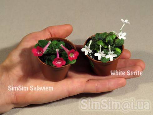 SimSim Salaviem, White Sprite.jpg