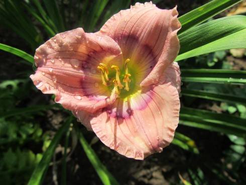IMG_3640.JPG