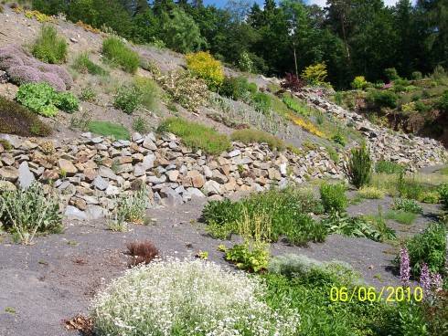arboretum Paseka 067.jpg