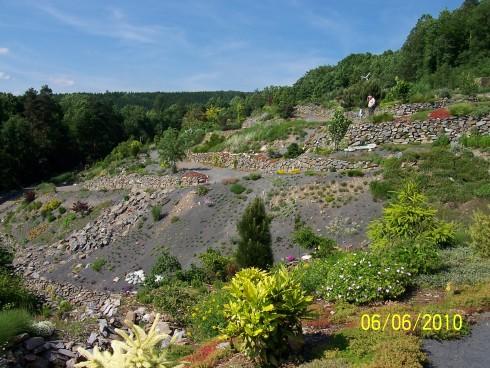 arboretum Paseka 048.jpg