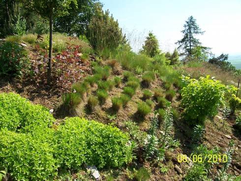 arboretum Paseka 047.jpg