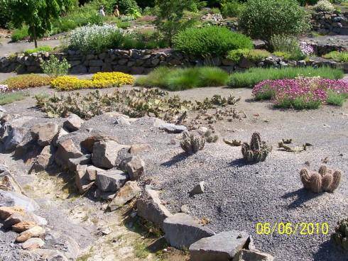 arboretum Paseka 032.jpg