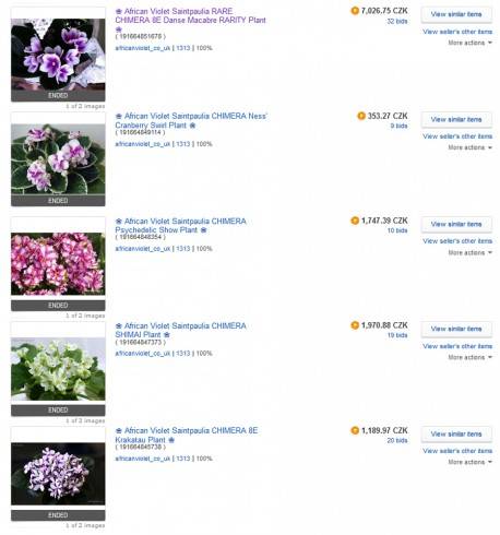 eBay - chiméry.jpg