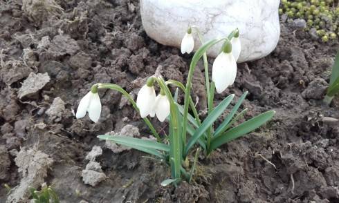 20170315_165339.jpg