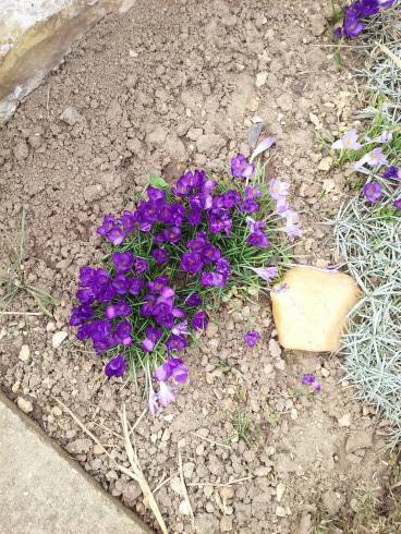 20170317_154304.jpg