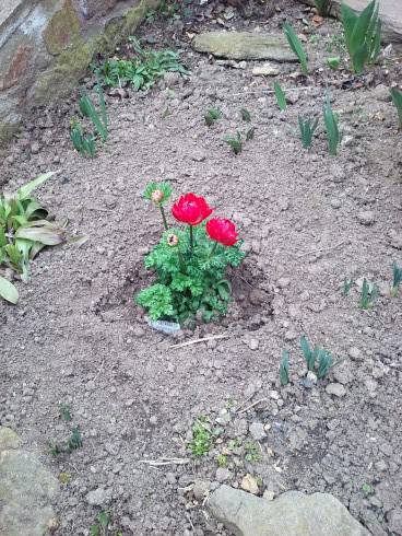 20170317_155627.jpg