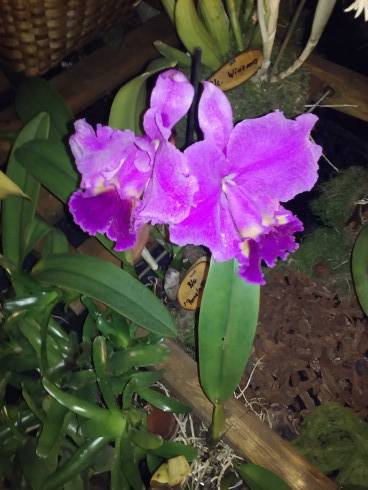 20170323_104733.jpg