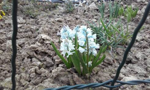 20170329_165649.jpg