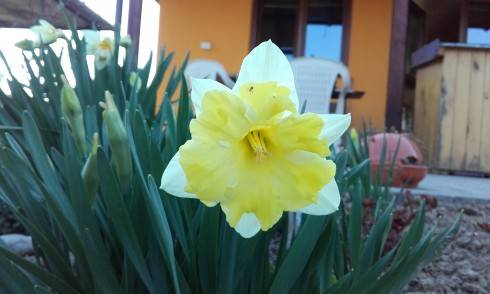 20170402_170101.jpg