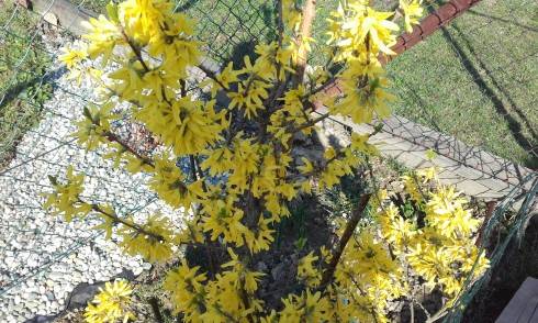 20170402_095453.jpg