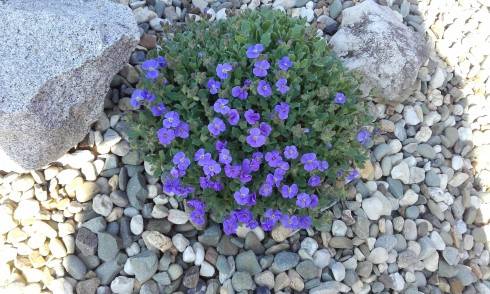 20170402_095355.jpg