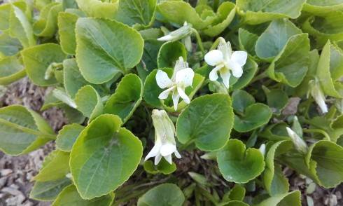 20170402_095244.jpg