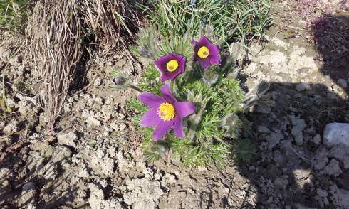 20170402_095213.jpg