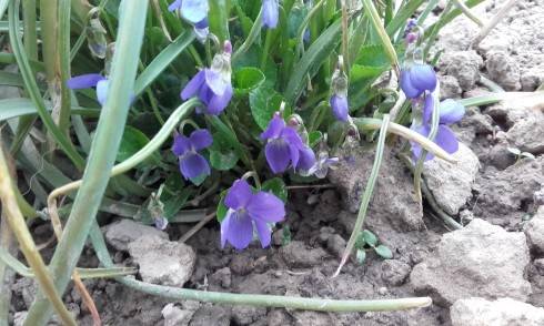 20170404_175403.jpg