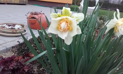 20170404_175349.jpg
