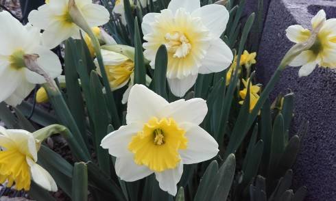 20170404_175238.jpg
