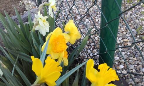 20170409_183822.jpg