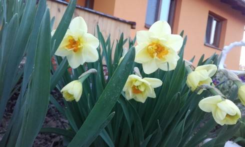 20170409_183947.jpg