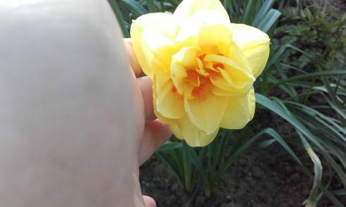 20170421_155213.jpg