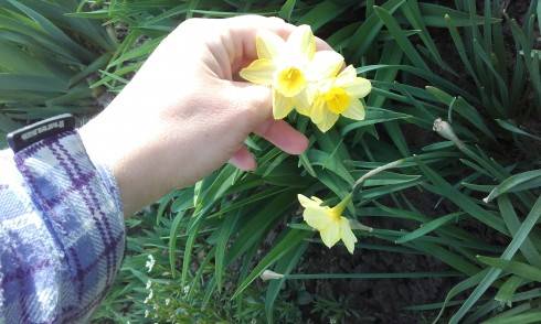20170421_155313.jpg