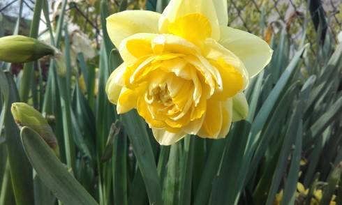 20170430_083514.jpg